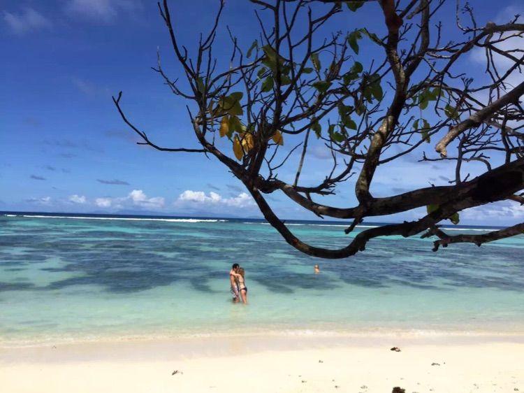 Jdb电子官网-引导党员干部知史爱党、知史爱国_时事政治_中公教育网