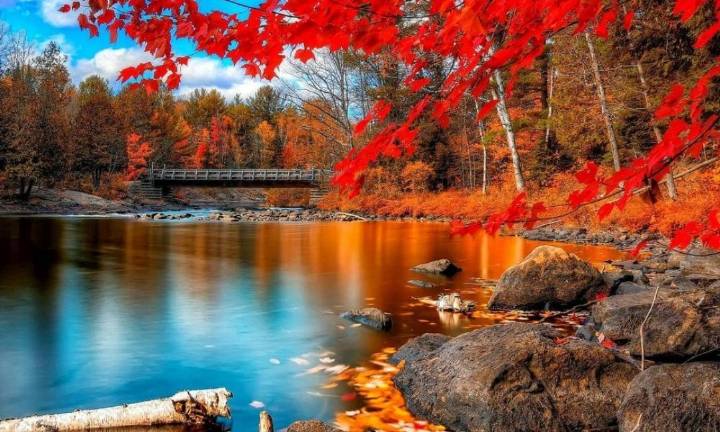 jdb电子网址大全