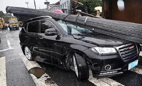 郑商所创新强麦期货质检机制 设立纯度鉴定小组_jdb电子网址大全