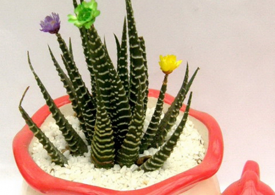 JDB平台官网入口