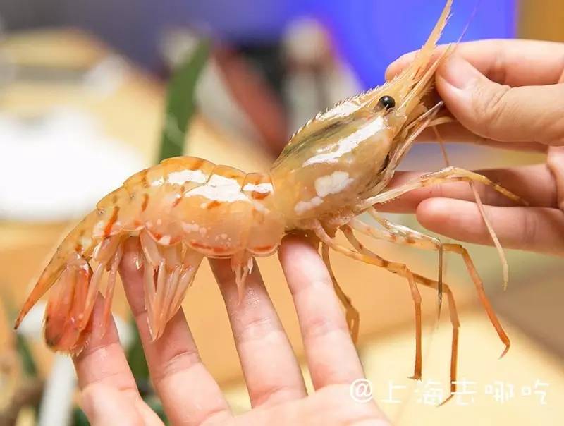 ‘JDB平台官网入口’“最牛村规”何以强过“红头文件”?_时事政治_中公教育网